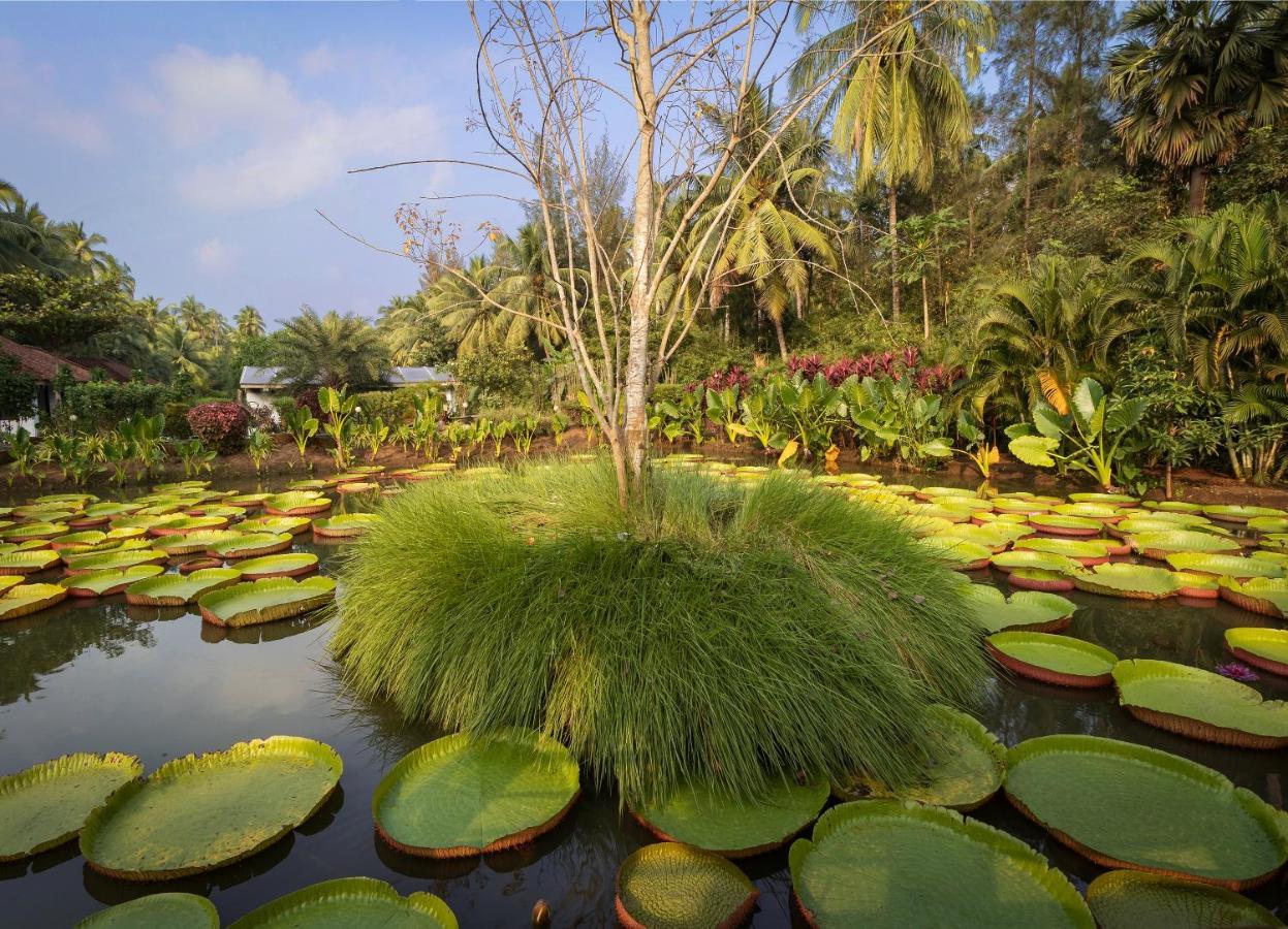 Rvr Sarovar Portico Hotel Rāzole Buitenkant foto